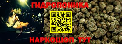 прущие крисы Коломна